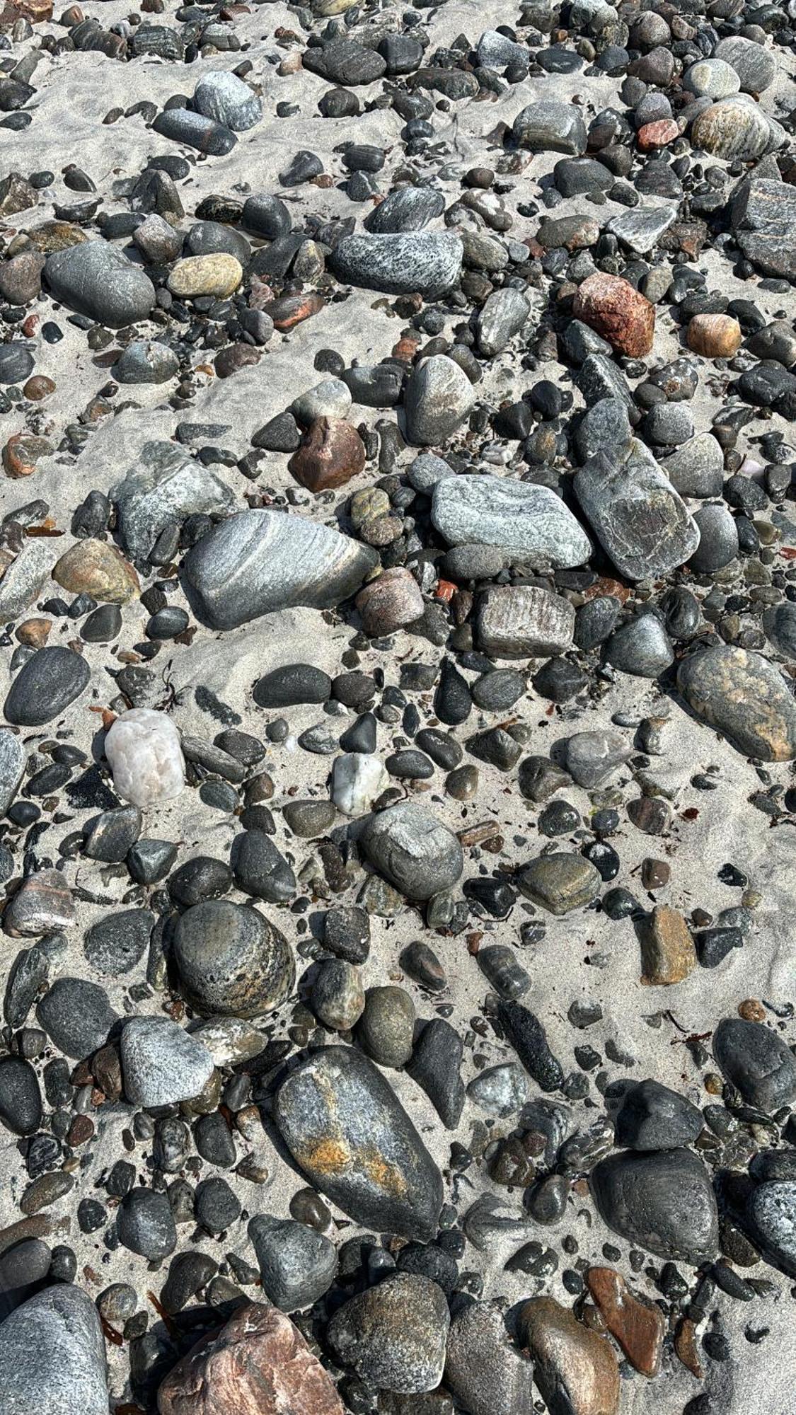 Seas The Day - Self Catering Lodge North Uist Paible Exteriör bild
