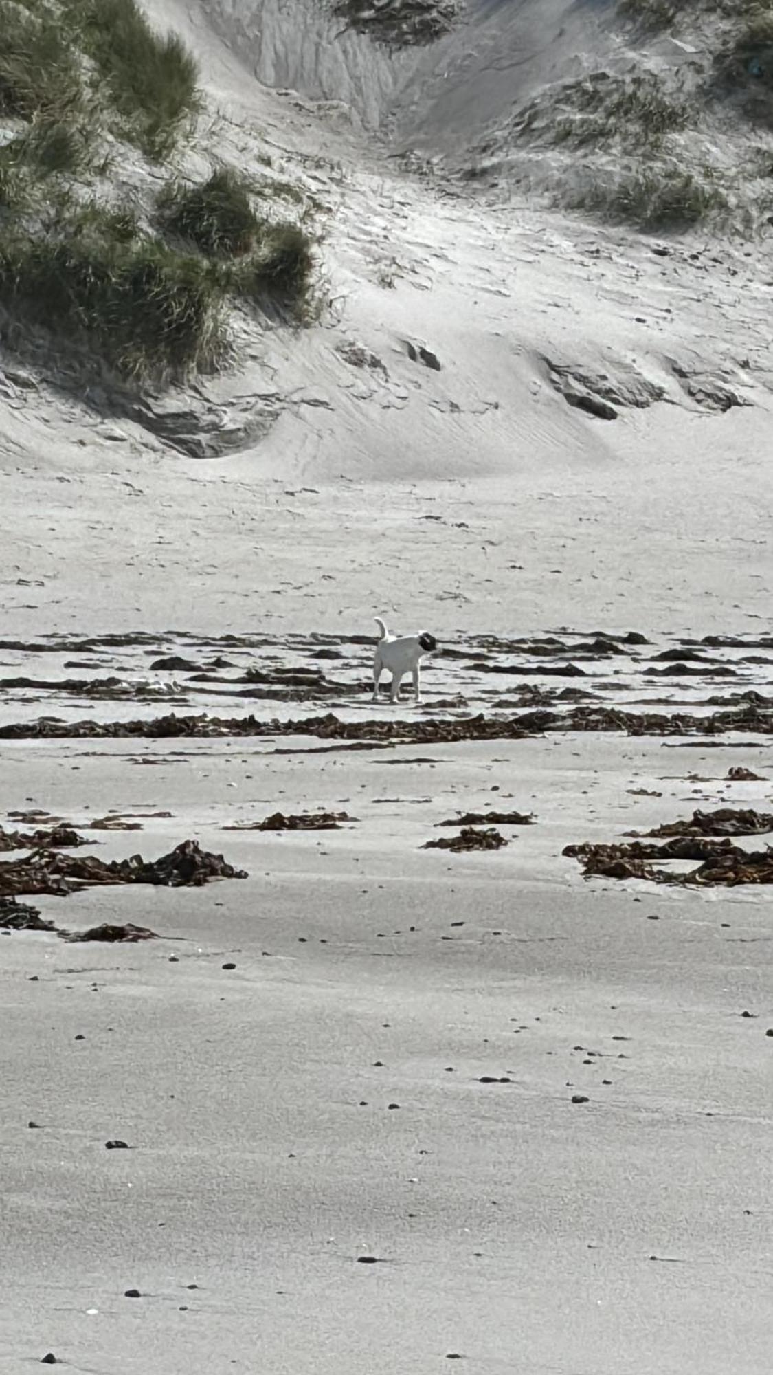 Seas The Day - Self Catering Lodge North Uist Paible Exteriör bild